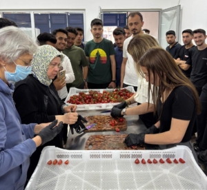 KUMLUCA KMYO ÖĞRENCİLERİ KURUTMA TESİSİ-3
