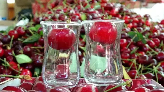 Çay bardağına sığmayan dev kirazda hasat başladı, piyasa değeri 500 TL