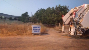 WhatsApp Image 2025-06-19 at 11.02.07