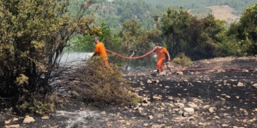 WhatsApp Image 2025-06-22 at 13.39.28 (1)