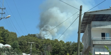 WhatsApp Image 2025-06-25 at 13.37.24